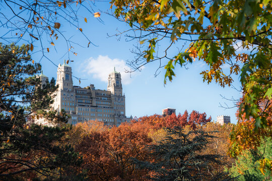 Manhattan, United States - 08 November 2025: View of the stately architecture of the San Remo building rising above the vibrant tapestry of autumn foliage.
