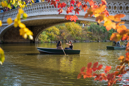 Manhattan, United States - 08 November 2025: View of a couple rowing on The Lake in Central Park, framed by vibrant autumn foliage under Bow Bridge.