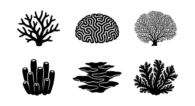 Black coral silhouette icons set, underwater sea reef organic shapes, 6 marine life vector elements, aquatic nature illustrations for logo design