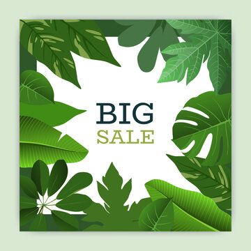 Big sale. Tropical leaves frame. Exotic jungle plants border for social media post, palm leaf square design advertising. Discount special offer. Seasonal vector isolated illustration template