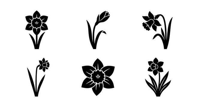 Daffodil flower icons set, black narcissus floral silhouettes, 6 spring blossom vector elements for garden branding and botanical design