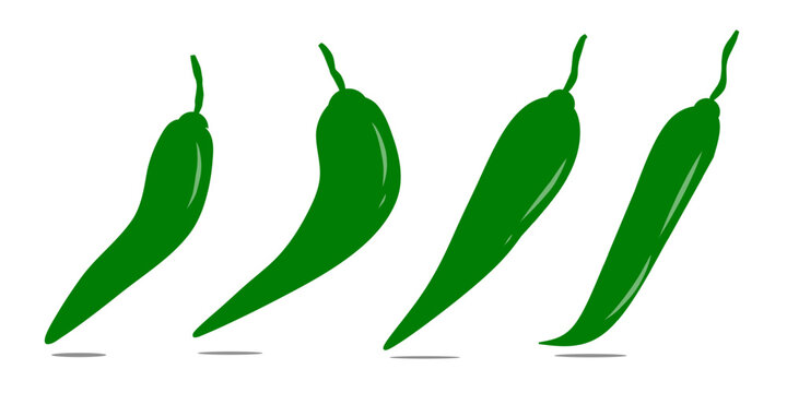 Set collection of chili pepper illustrations. Hand-drawn images of unripe chili pepper plants.