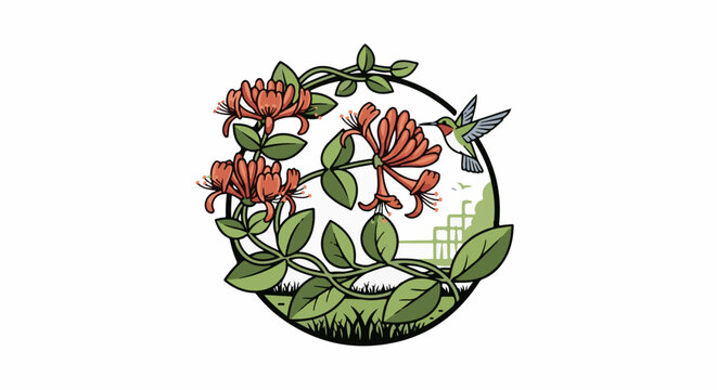 Delicate hummingbird sips nectar from blooming honeysuckle within a green oval frame