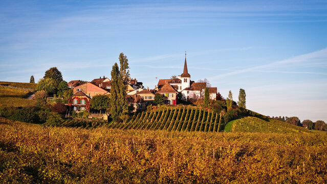 Aerial view of sun-kissed vineyards leading to a charming village crowned with a church steeple under a vast blue sky, Fechy, Vaud, Switzerland.