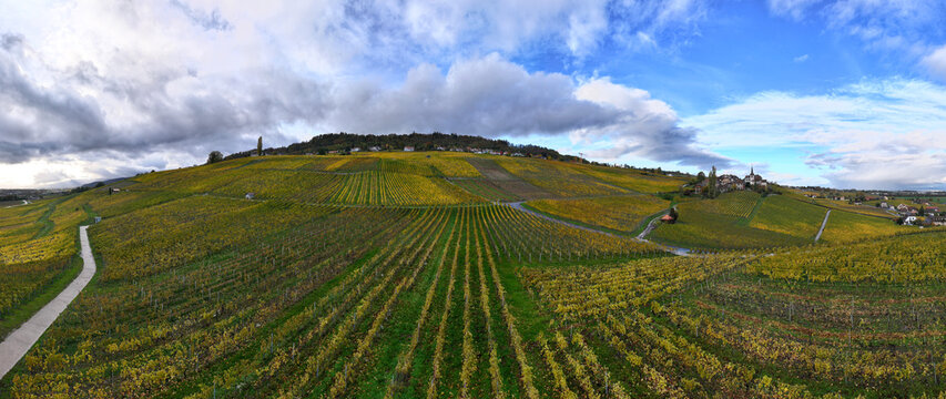 Aerial view of vineyard rows stretch across rolling hills under a dynamic sky, showcasing the beauty of wine country, Fechy, Vaud, Switzerland.