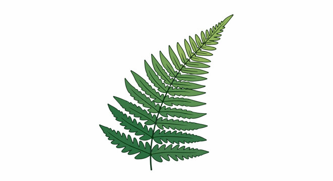 A delicate green fern frond extends upwards, its feathery leaves a gradient of shades