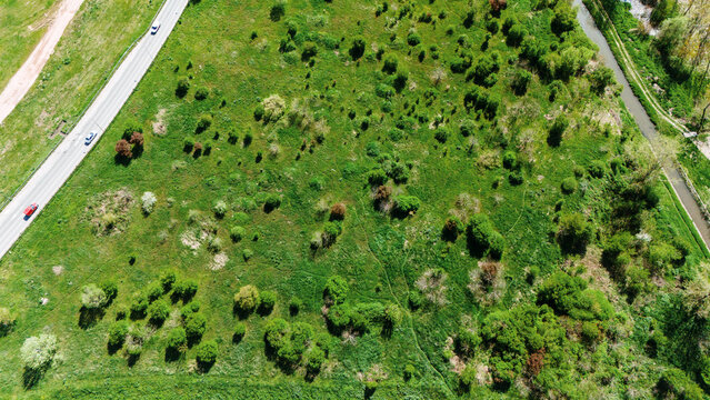 Aerial view of a vibrant patchwork of green fields dotted with shrubs and trees, bisected by a road with moving vehicles and a narrow canal, Sremska Mitrovica, Vojvodina, Serbia.