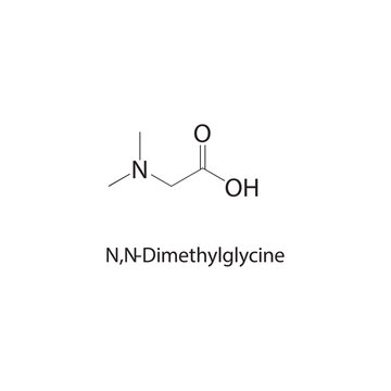 N,N-Dimethylglycine skeletal structure. amino acid compound schematic illustration. Simple diagram, chemical formula.