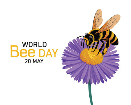 World bee day background. Honey bee collect pollen from flower. Honeybee day banner. Vector flat illustration.