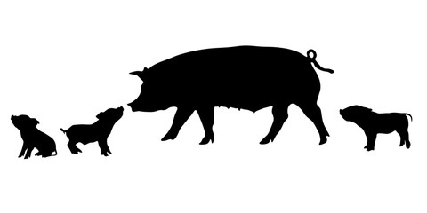 Pig and piglets silhouettes – farm animal family isolated vector set © MJD_Studio