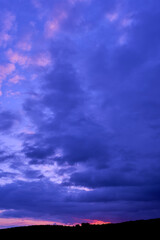 Fototapeta premium Dramatic Blue Nordic Twilight Sky with Pink Clouds over Dark Forest Silhouette