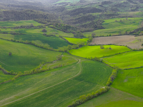 Aerial view of rolling green hills, agricultural fields, and rows of trees in the rural landscape of Pomarance, Tuscany, Italy.