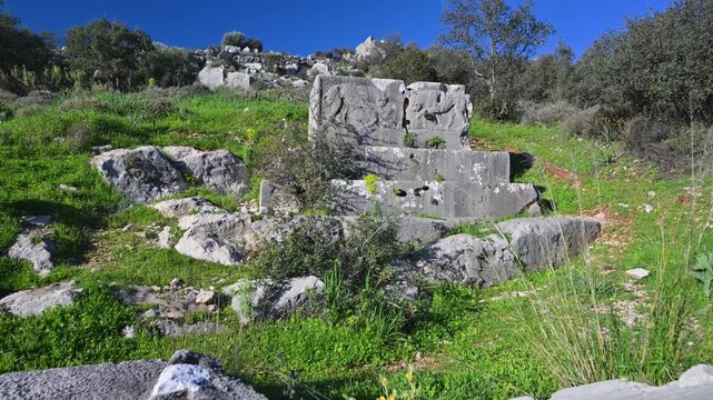 Dog walking among ancient Xanthos ruins in Turkey