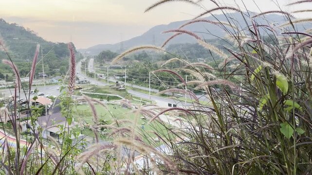Natural grass mountain valley road landscape scenic sunset sky green field hill rural highway with tropical plants and sunrise scenic view in beautiful mountain valley landscape along road