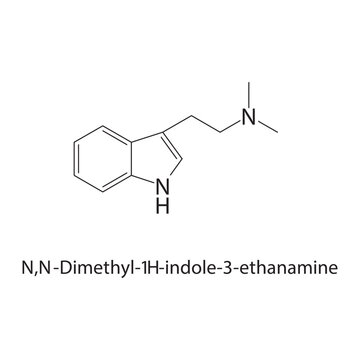 N,N-Dimethyl-1H-indole-3 ethanamine skeletal structure. amine compound schematic illustration. Simple diagram, chemical formula.