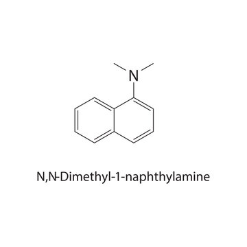 N,N-Dimethyl-1-naphthyl amine skeletal structure. amine compound schematic illustration. Simple diagram, chemical formula.