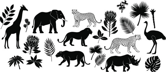 Safari animal silhouettes with tropical leaves collection including elephant, giraffe, lion, leopard, rhino and ostrich, black vector set isolated on light background © Songkari