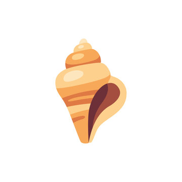 beige brown cone shell, tropical sea shell, colorful illustration