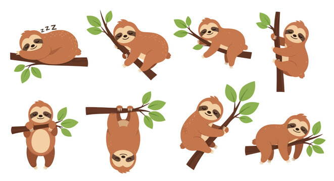 Collection of adorable sloth illustrations hanging from tree branches.