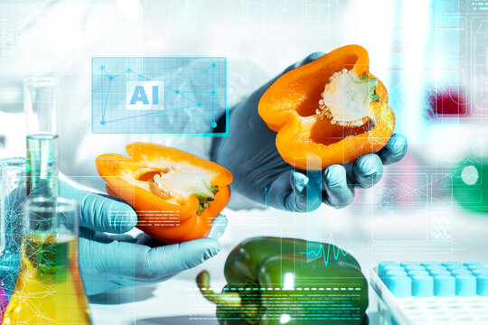 AI hologram data overlay in smart food lab, gloved hands inspect halved bell pepper for digital quality grading, nutrient analytics and traceability