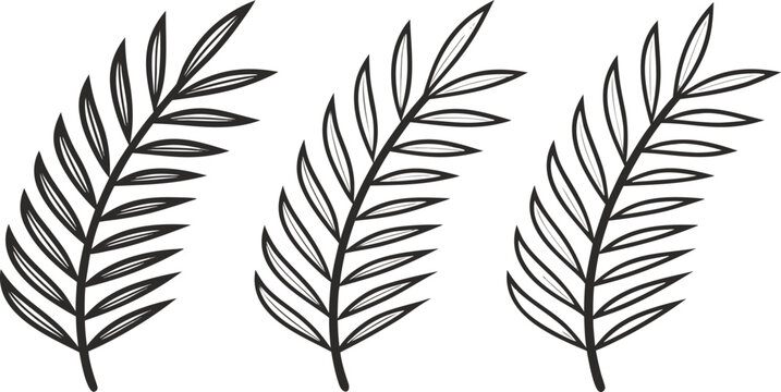Minimal black pine branch set clean line style pine needles