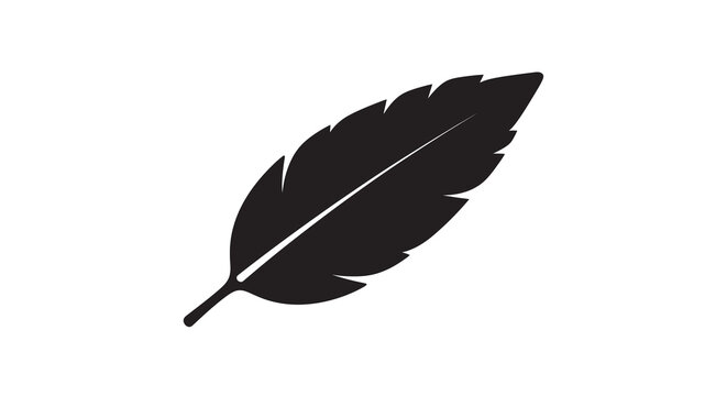 A single black feather presented against a plain white background