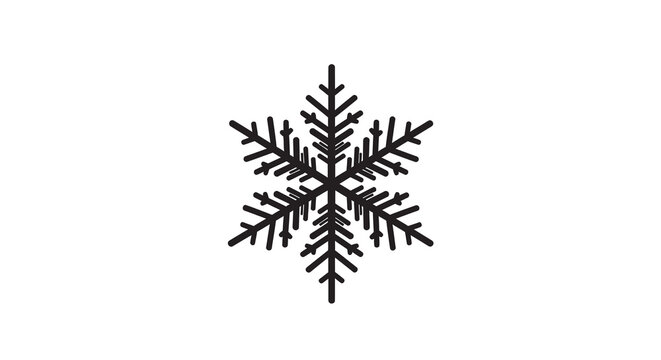 Detailed black silhouette of a complex six pointed snowflake on white