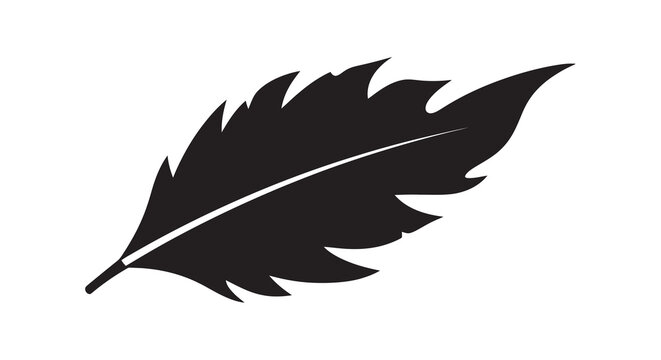 A simple black silhouette of a single feather with a central vein