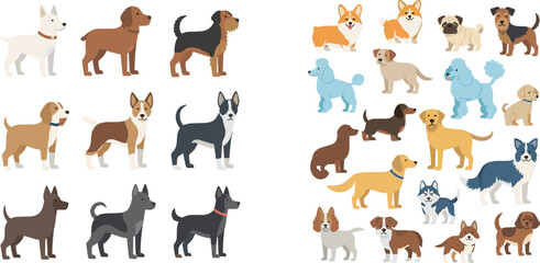 Cute Flat Design Dog Breed Collection Set with Various Colorful Cartoon Puppy Characters for Pet, Veterinary, and Animal Lover Designs © mdnazrul