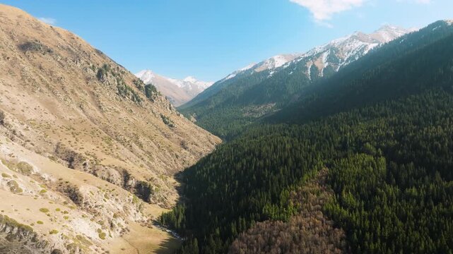 Drone flies over Ak Suu gorge in Tian Shan Kyrgyzstan in Autumn.