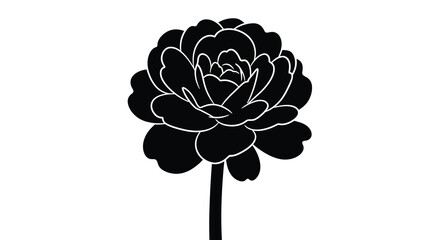 A striking black and white silhouette of a fully bloomed peony flower on a white background © Pvect02