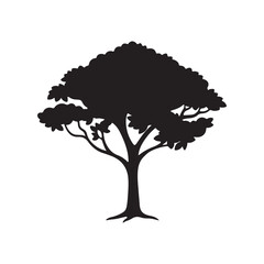 Fototapeta premium Tree Silhouette with Wide Rounded Leaf Clusters