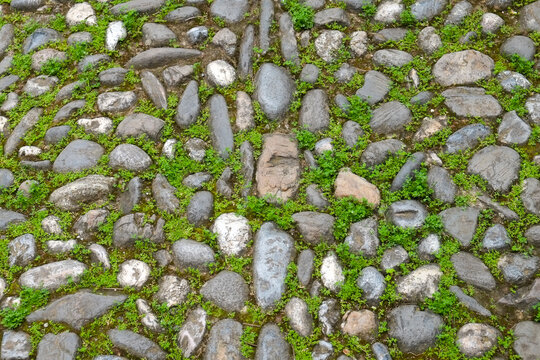 Cobblestone and moss pattern background