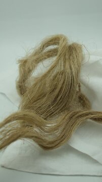 Fibers of natural, uncolored flax, tow. White linen canvas. Growing demand for natural fibers.