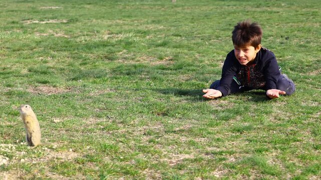 boy on a meadow reaching toward a wild european ground squirrel running nearby while soft daylight and open grassland create a playful natural scene shaped by curiosity and gentle wildlife interaction