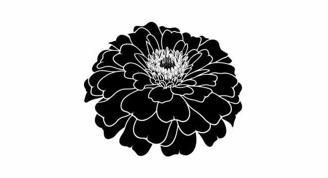 A striking black and white silhouette of a zinnia flower with intricate petal detail against a plain background