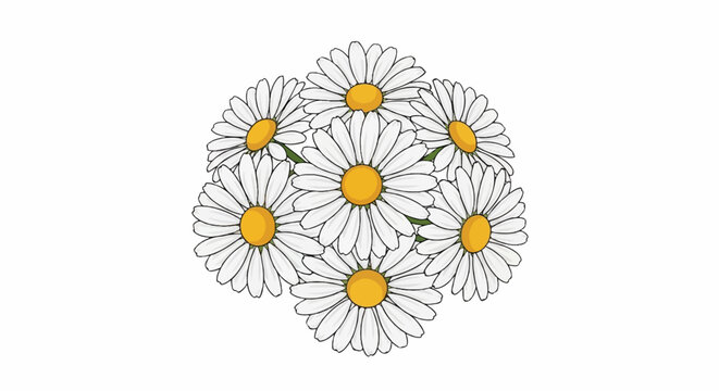 A bouquet of daisies with white petals and yellow centers on a white background