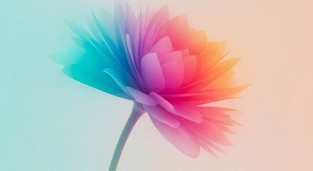 Obraz premium 3D render of a blooming chrysanthemum flower with pastel gradients. Soft spring aesthetics for web design. Vibrant floral head floating on a warm sunlit background