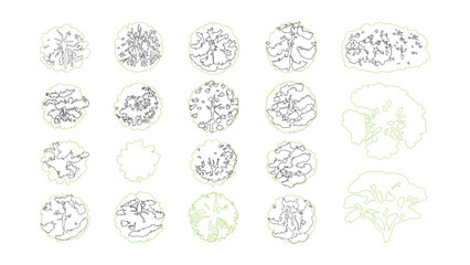 Set of vector drawings of different deciduous trees as top view for landscape design plans. © Sara Studio