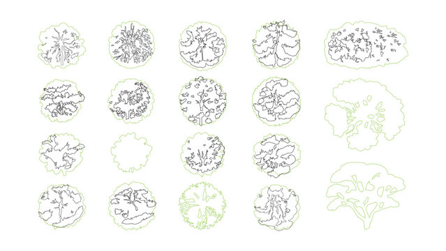 Set of vector drawings of different deciduous trees as top view for landscape design plans.
