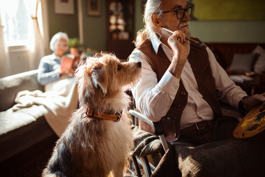 Senior man painting in cozy living room with dog