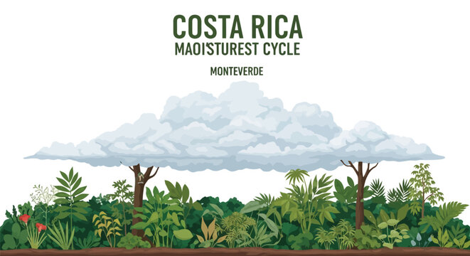Costa Rica Monteverde cloud forest ecosystem with lush vegetation and moisture cycle