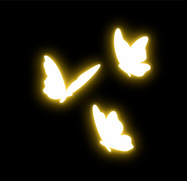 Golden glowing butterfly silhouettes light decorative trio effect png overlay element