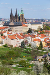 Obraz premium Spring Prague City with gothic Castle and the green Nature and flowering Trees, Czech Republic 