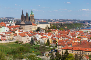 Obraz premium Spring Prague City with gothic Castle and the green Nature and flowering Trees, Czech Republic 
