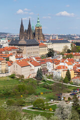Obraz premium Spring Prague City with gothic Castle and the green Nature and flowering Trees, Czech Republic 