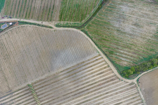 Aerial view of geometric patterns of cultivated agricultural fields and vineyards with dirt paths in Castelfranco Piandisco, Tuscany, Italy.
