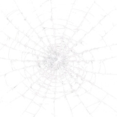 Obraz premium Web design showing a detailed pattern of a spider web on a transparent background during daylight hours