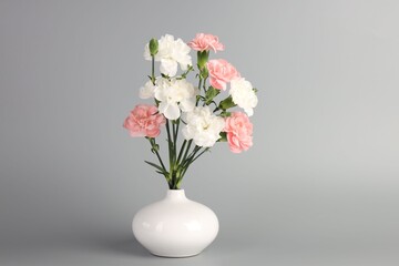 Naklejka premium Beautiful carnation flowers in vase on light grey background, space for text