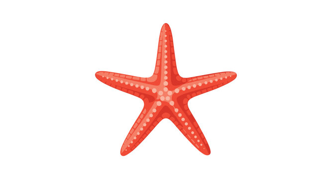 Detailed illustration of a bright red starfish with small dots on its skin isolated on a white background for marine designs.